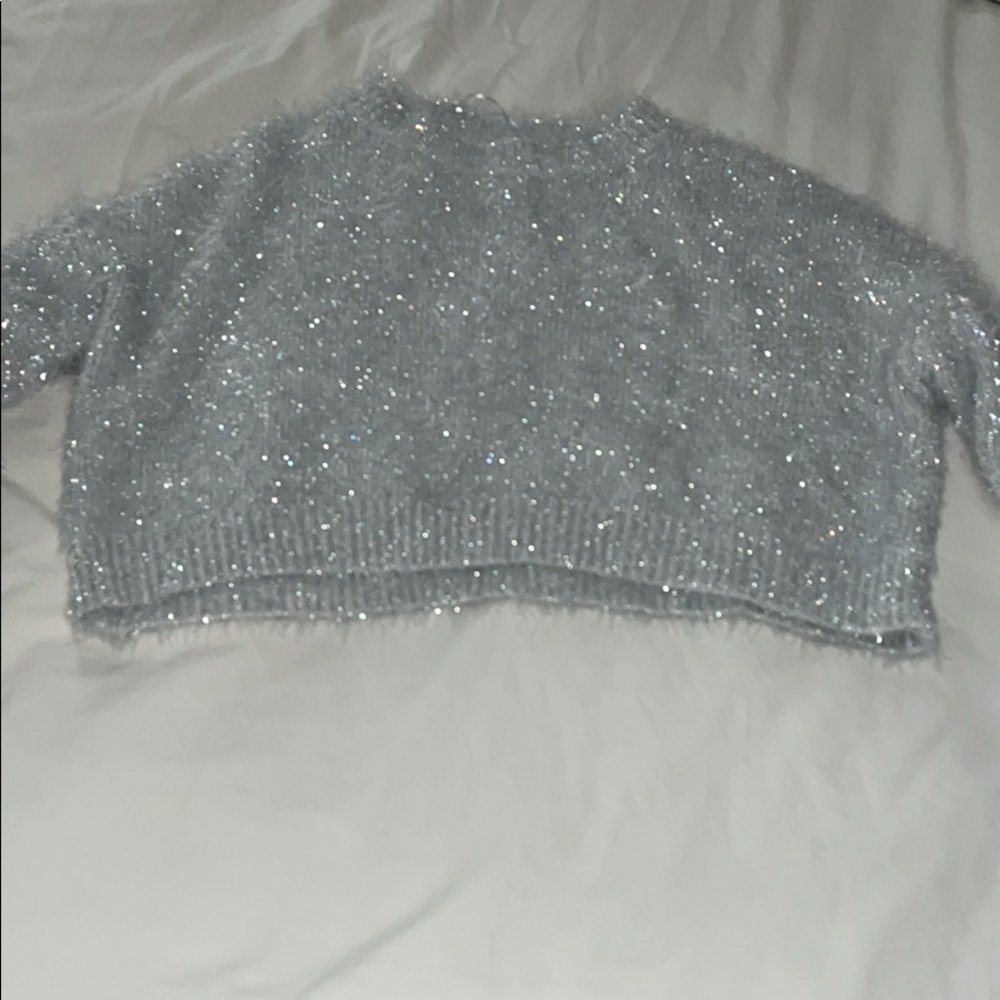 sparkly sweater